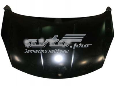 Капот FP5013281 FPS
