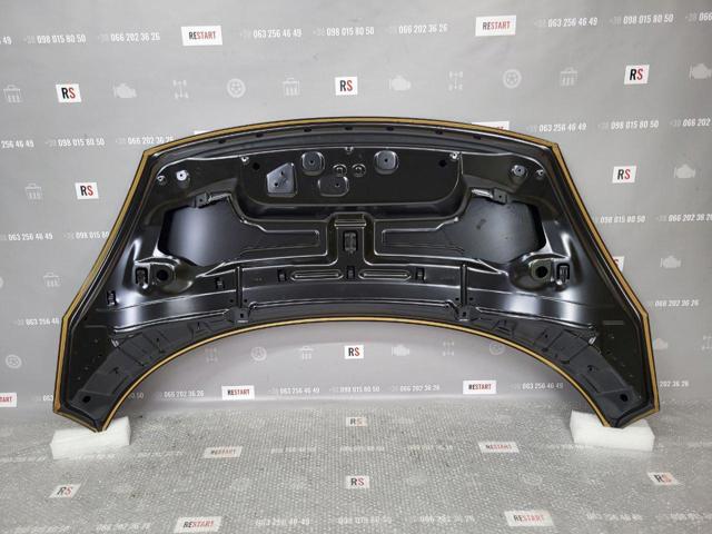 Капот 651009758R Renault (RVI)