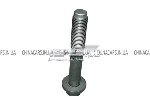  T112909013 Chery