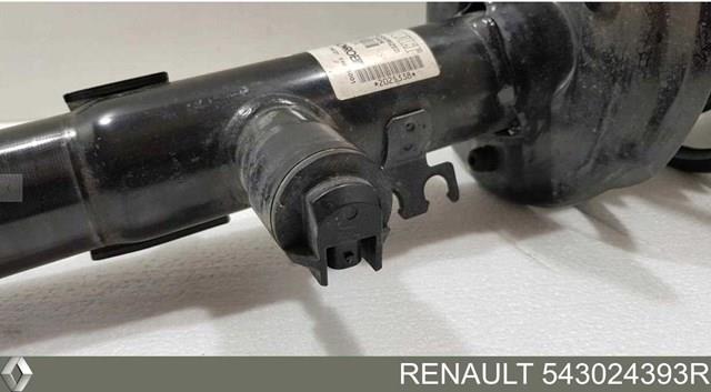 Амортизатор передний 543024393R Renault (RVI)