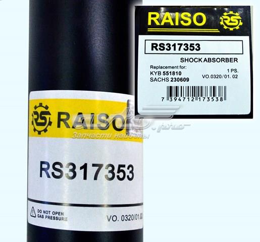 RS317353 Raiso Амортизаторы задние