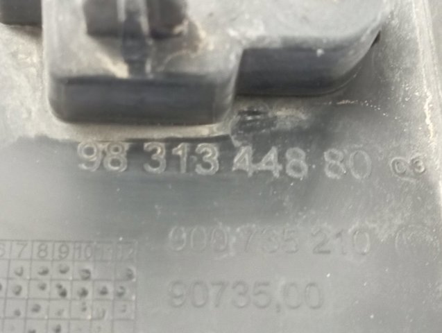  9831344880 Peugeot/Citroen