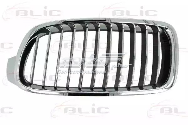 Panal de radiador izquierda 6502070063997P 4MAX