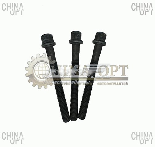 Болт ГБЦ 477F1003051 Chery