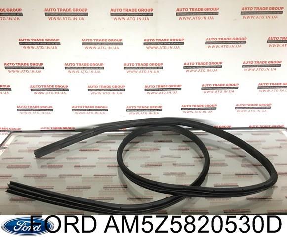  AM5Z5820530C Ford