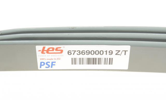 Рессоры задние (пружины задней подвески) TES 6736900019ZT цена, от 281.34 USD