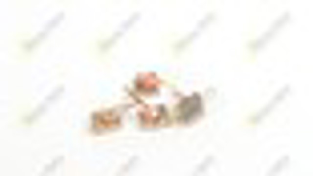 BSX1591604 Cargo Escova do motor de arranco