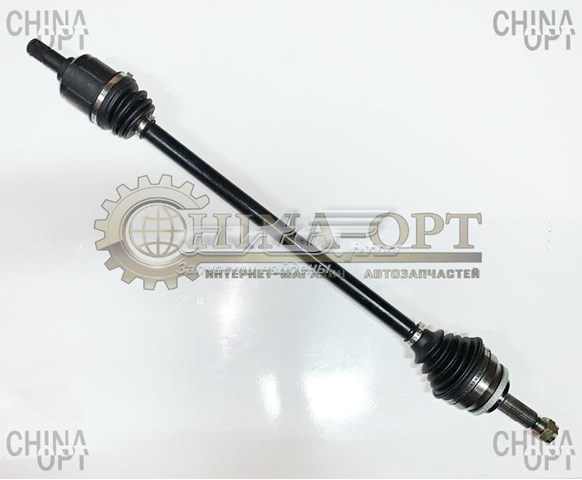 BYD 1017374700