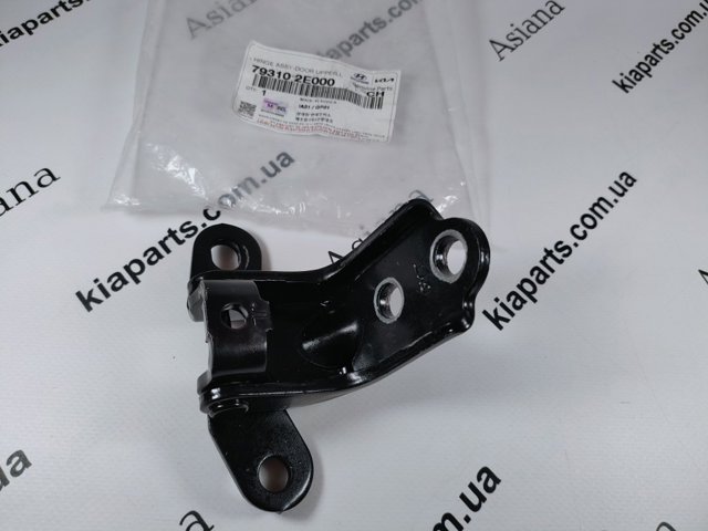 Gozno da porta dianteira esquerda para Hyundai Tucson (JM)