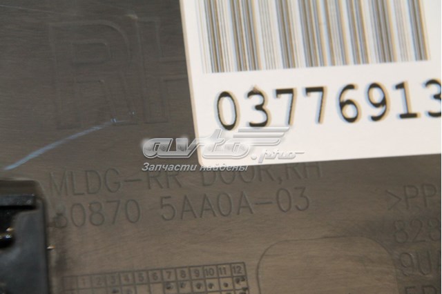  Nissan/Infiniti 828705AA0A