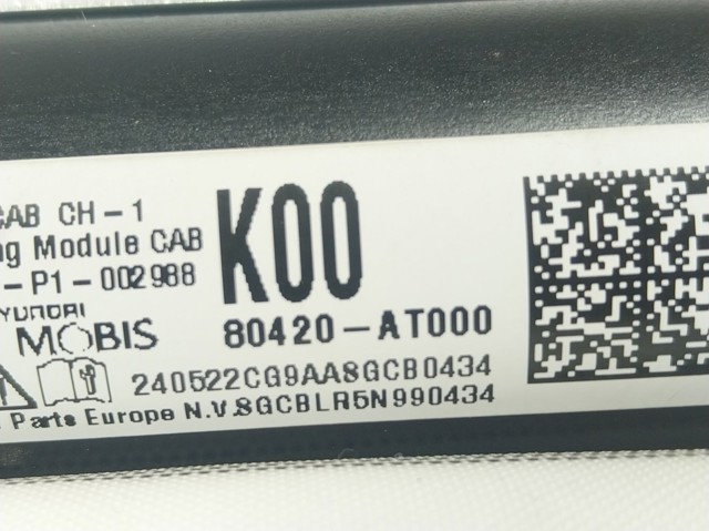 Шторка боковая правая Hyundai/Kia 80420AT000 цена, от 169.30 USD