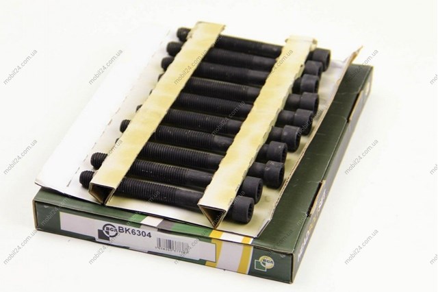 Болт головки блока цилиндров, ГБЦ BGA BK6304 цена, от 11.34 USD