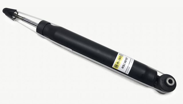 RS290187 Raiso Амортизаторы задние