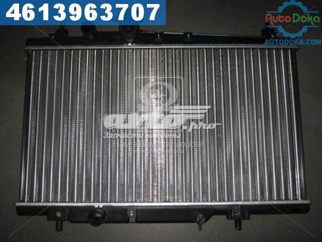 TP1510160 Tempest Радиатор основной