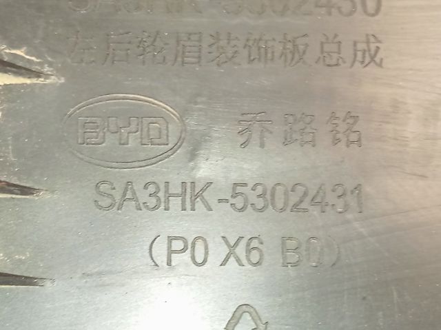  SA3HK5302430 BYD