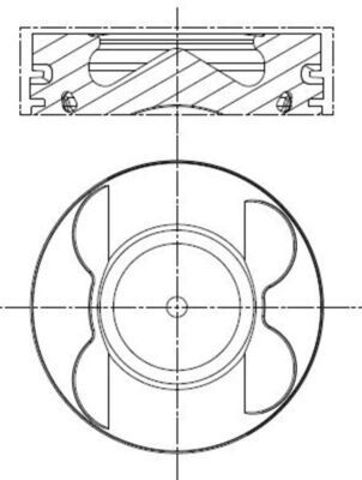 001PI00107002 Mahle Original 