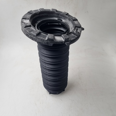 RR6274 Goodrem Пыльник стойки передней