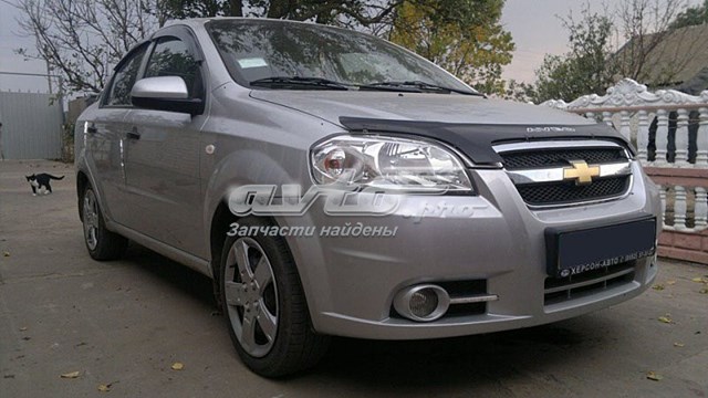 Грязеотбойник капота Chevrolet Aveo II седан (T250, T255) (2005 - 2011) цена, от  