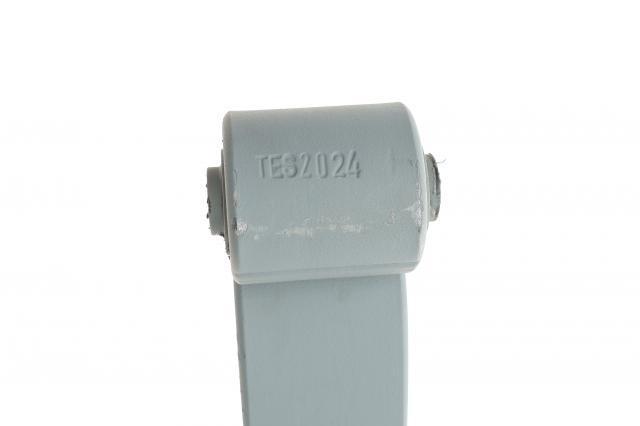  TES 482100K1000119ZT