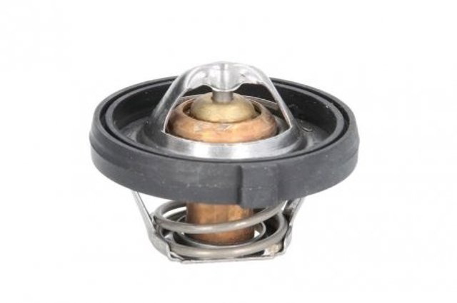 68210218MT Motorad 