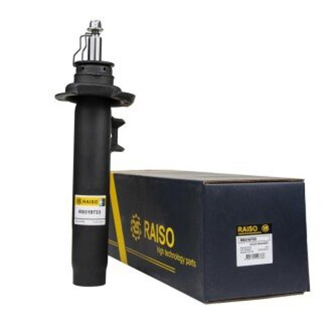 RS319733 Raiso Стойка передняя