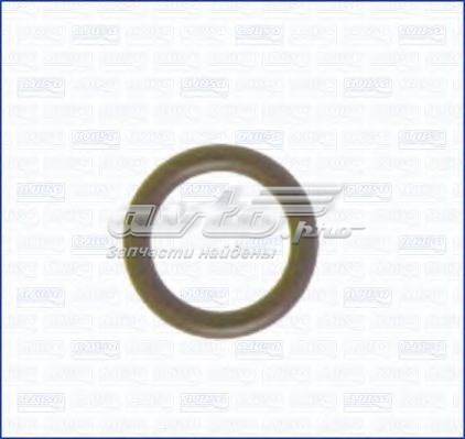 Уплотнительное кольцо направляющей щупа уровня масла двигателя Ajusa 16004100