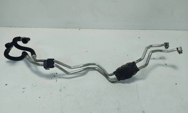 T4A15334 Jaguar 