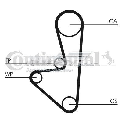 CT1067WP1 Continental/Siemens correia do mecanismo de distribuição de gás, kit