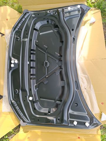 95X203 Polcar Капот