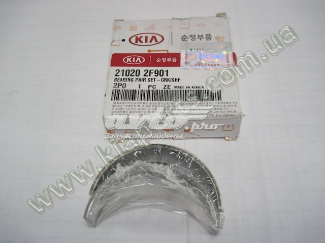 210202F901 Hyundai/Kia folhas inseridas principais de cambota, kit, padrão (std)