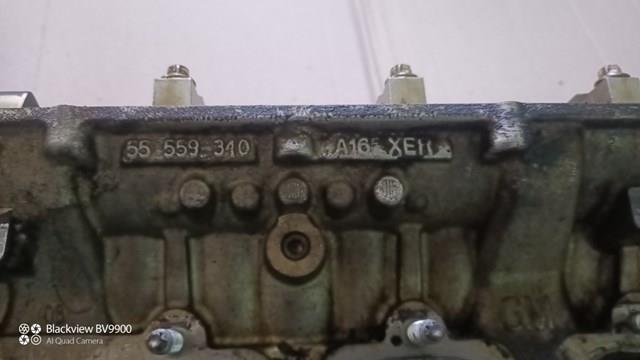  MGA60169 MGA