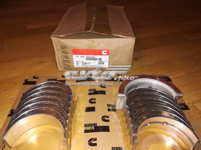 4955853 Cummins 
