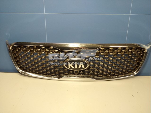 Compre Grelha do radiador KIA Sorento 3