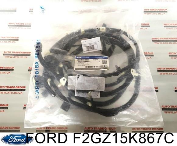 Купить F2GZ15K867C Ford 
