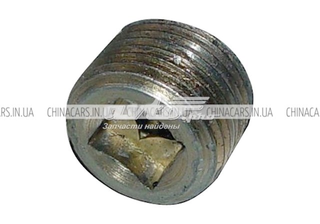 BS1041700810 Chery 