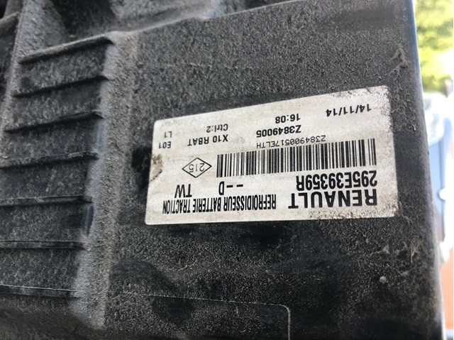  Renault (RVI) 295E39359R