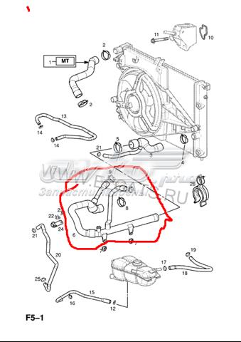 Mangueira (cano derivado) inferior do radiador de esfriamento para Opel Omega (25, 26, 27)