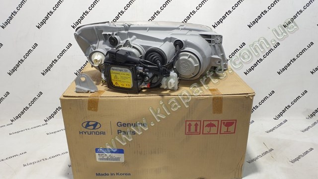 770042G010 Hyundai/Kia porta traseira direita