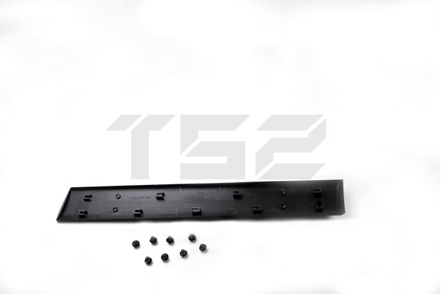 Moldura inferior de la puerta trasera derecha BSG70924003 BSG