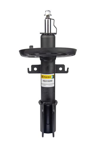 RS315290 Raiso Стойка передняя