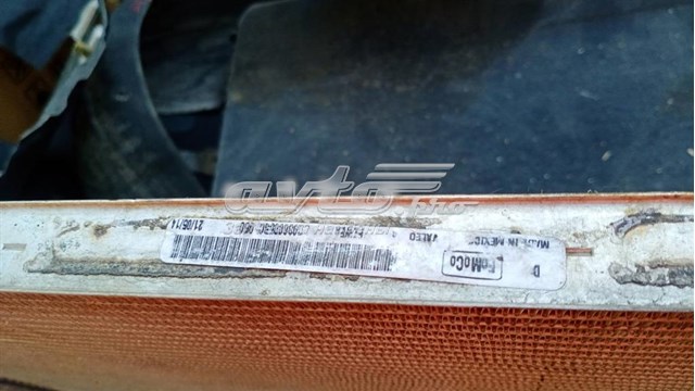Радиатор DG938005 Ford