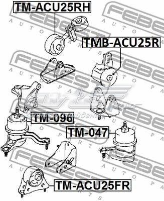TMBACU25R Febest coxim (suporte traseiro de motor)