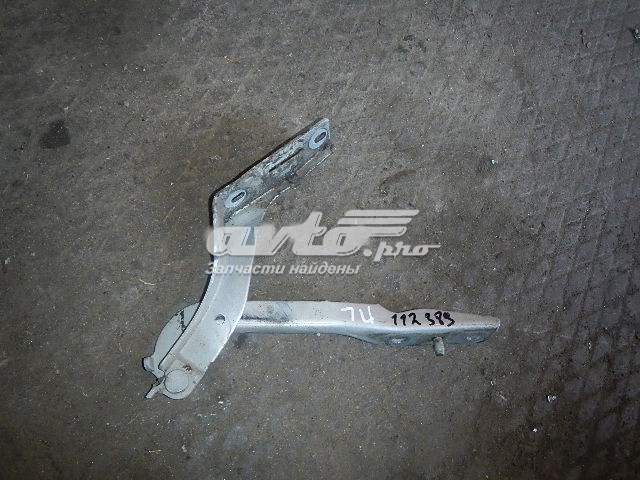 Gozno da capota esquerdo para Peugeot 307 (3B)