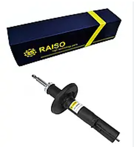 RS100620 Raiso Стойка передняя