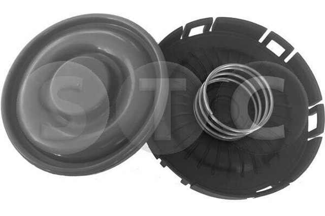 Membrana del separador de aceite T493512 STC