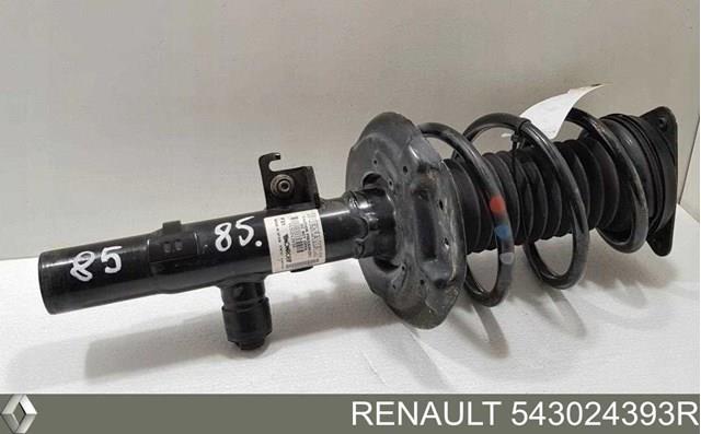 Купить 543024393R Renault (RVI) Амортизатор передней подвески