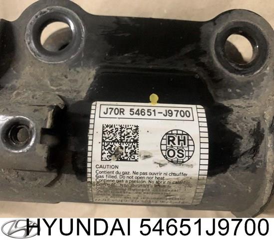 Купить 54651J9700 Hyundai/Kia 