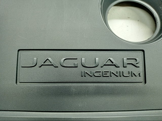  T2H24787 Jaguar
