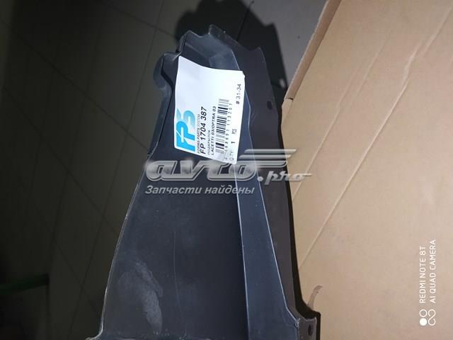 Подкрылок передний левый FP1704387 FPS