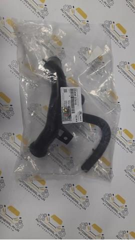 2543027410 Hyundai/Kia mangueira (cano derivado do sistema de esfriamento)